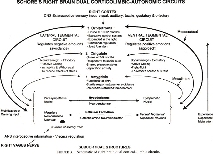 [Figure 3]