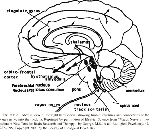 [Figure 2]